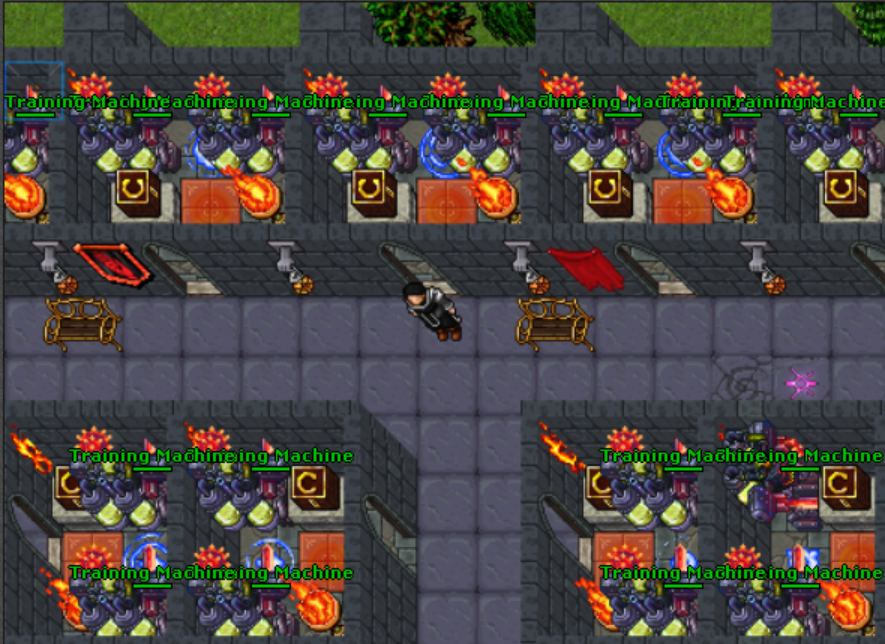 Training Machines Automáticas